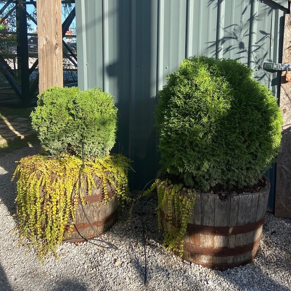 Meet your Posher, Mia - Picture 1 of 1